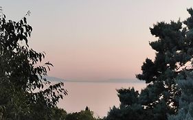 Apartman Liburna